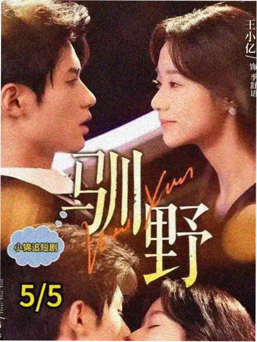 人物档案 阿禾 立绘